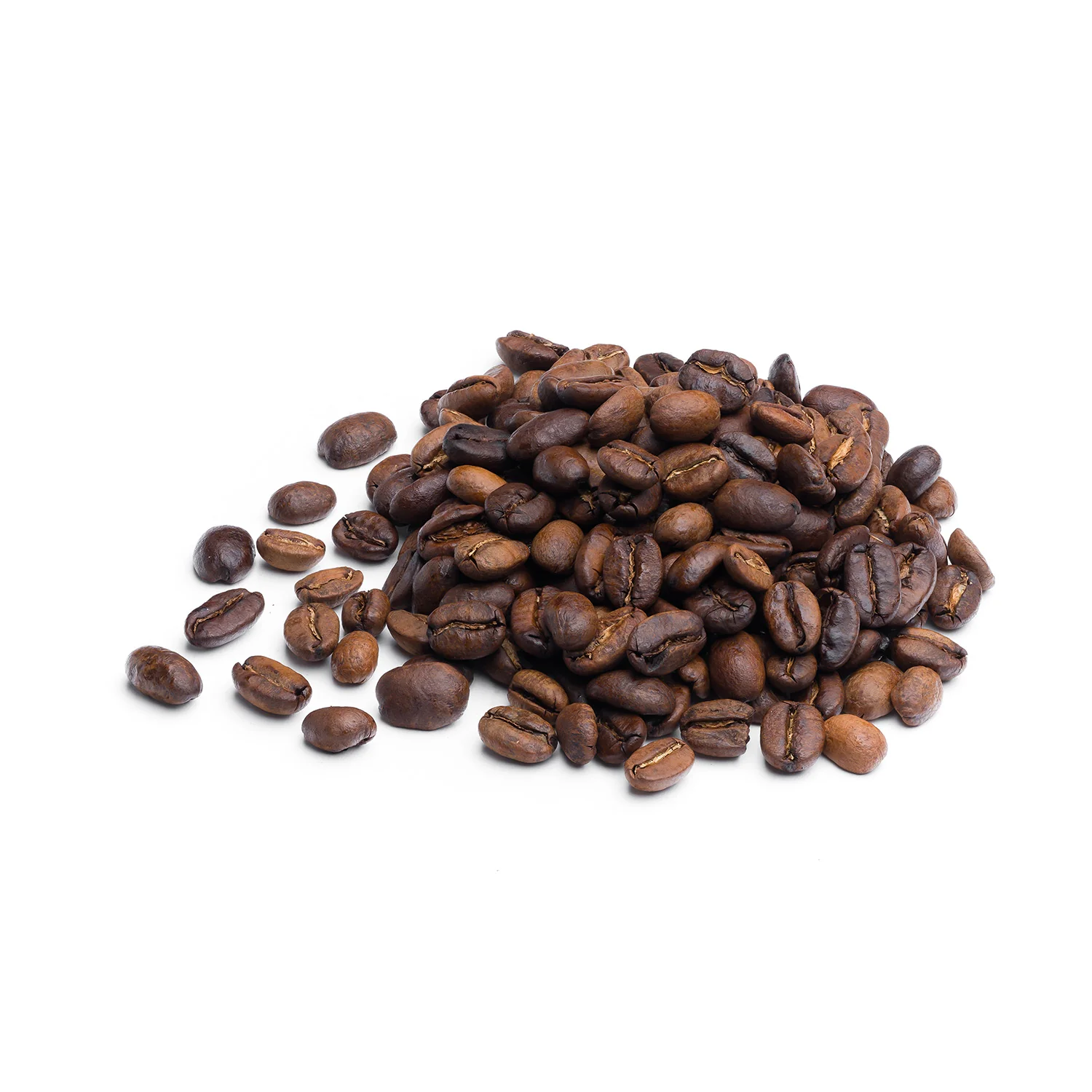 BLACK & TAN - Image 3